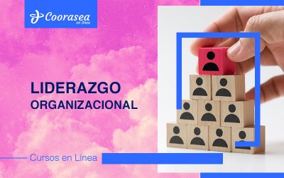 Curso de Liderazgo Organizacional