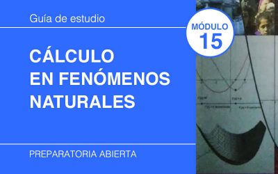 15. Cálculo en Fenómenos Naturales y Procesos Sociales