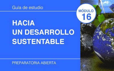 16. Hacia un Desarrollo Sustentable